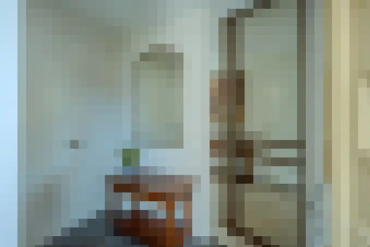 Zilverschoon 6 Veldhoven thumbnail 5