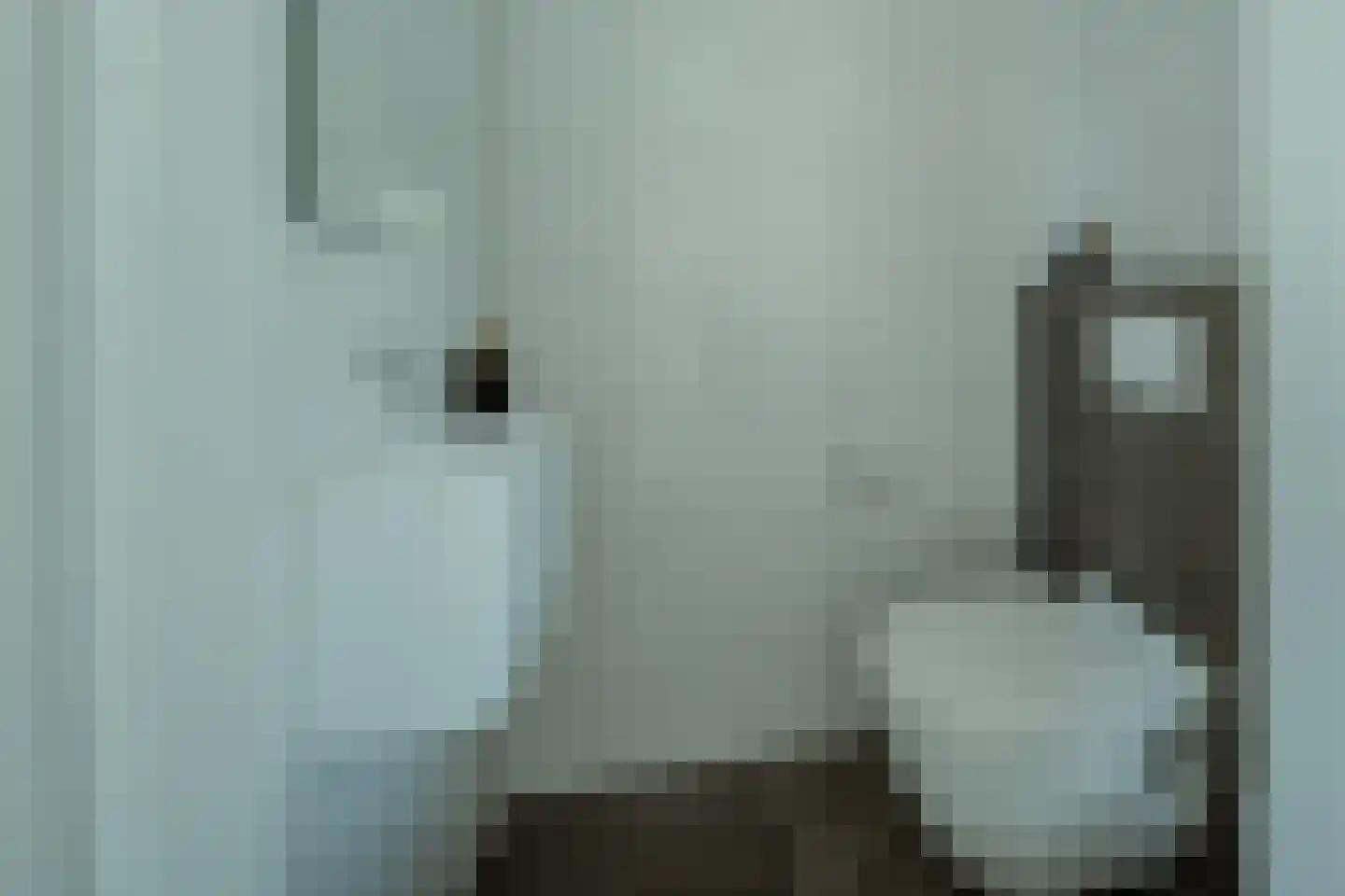 Zilverschoon 6 Veldhoven thumbnail 6