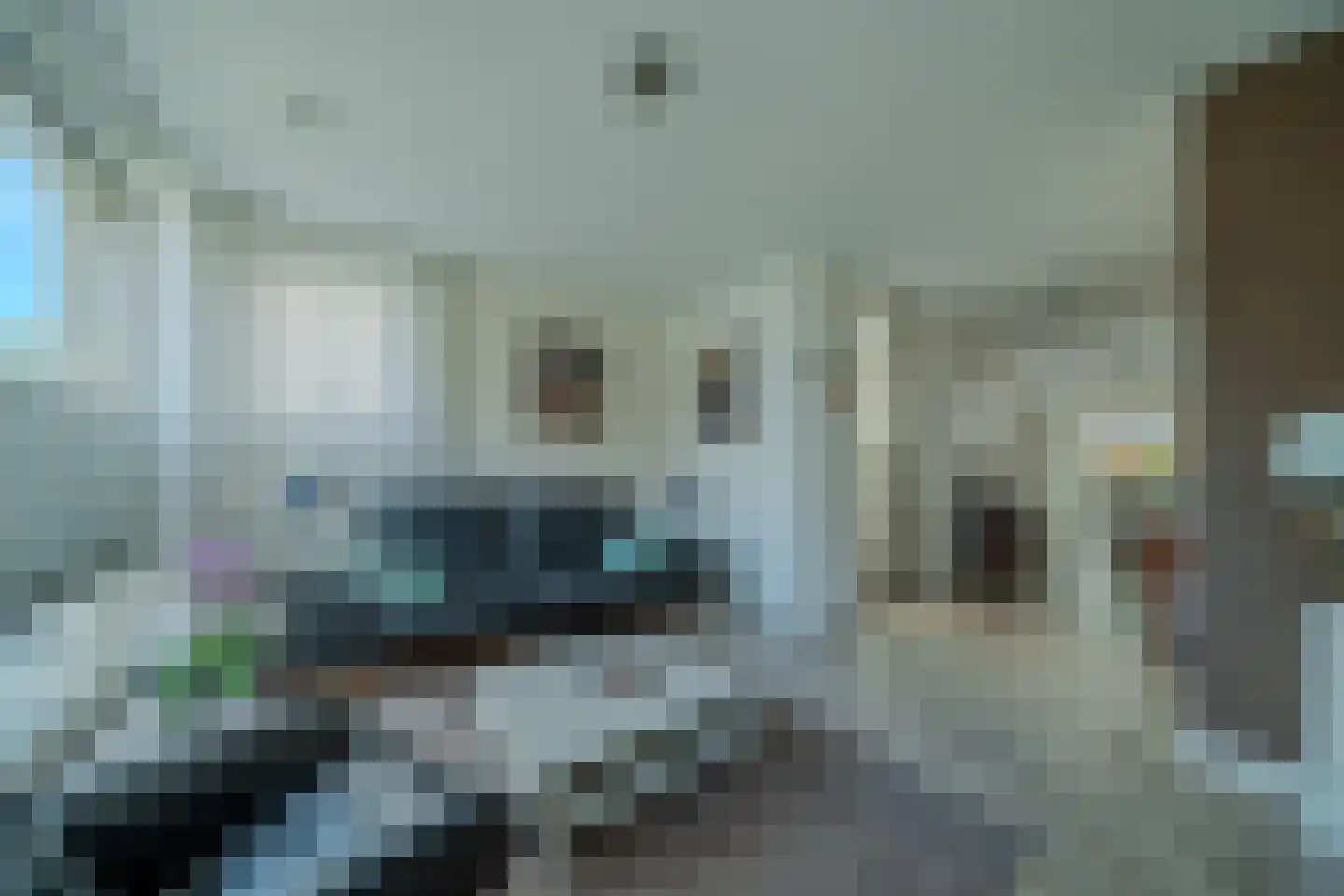Zilverschoon 6 Veldhoven thumbnail 8
