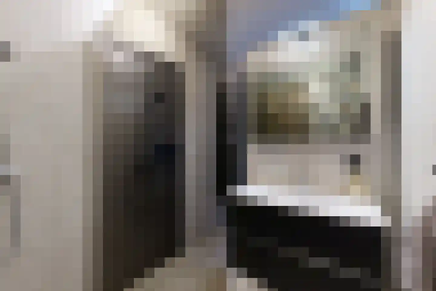 Zilverschoon 62 Uithoorn thumbnail 12