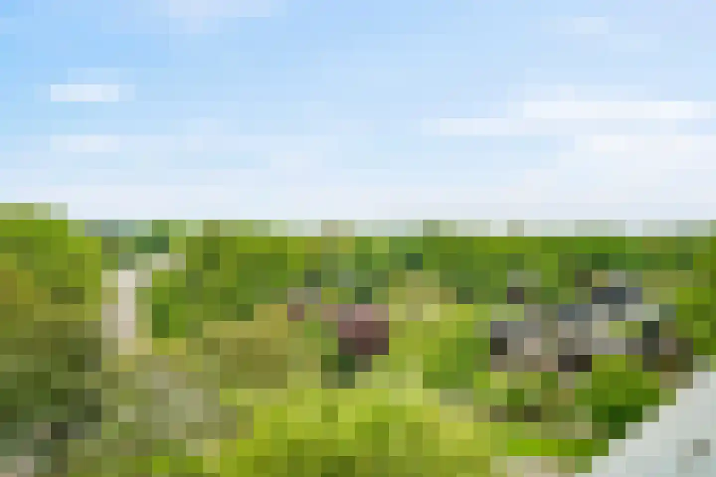 Zilverschoon 62 Uithoorn thumbnail 16
