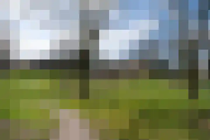Zilverschoon 64 Oldenzaal thumbnail 23