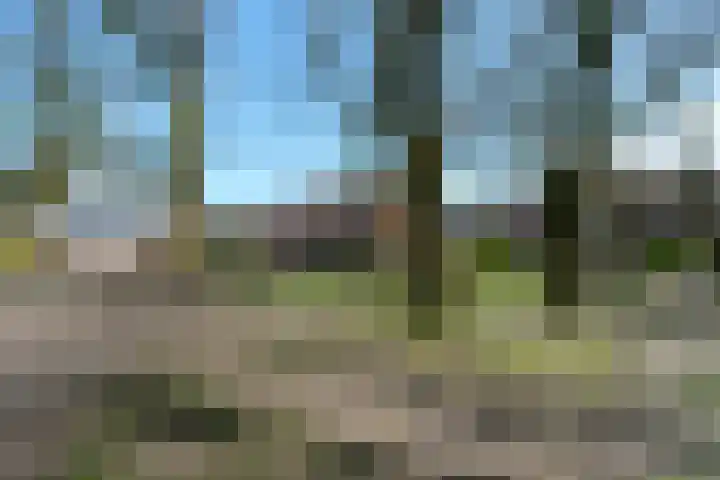 Zilverschoon 64 Oldenzaal thumbnail 24