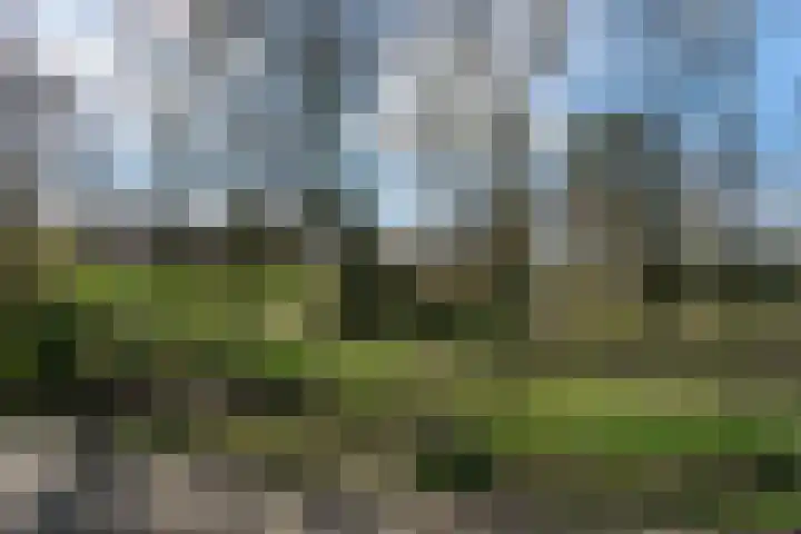 Zilverschoon 64 Oldenzaal thumbnail 25