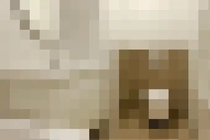 Zilverschoon 66 Uithoorn thumbnail 18