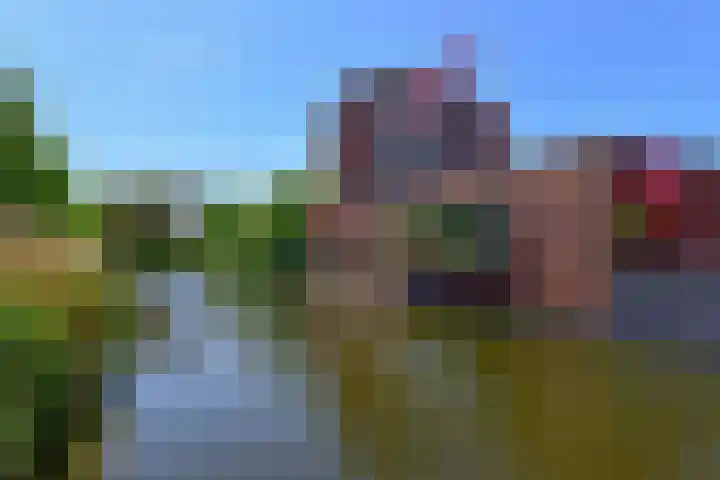 Zilverschoon 66 Uithoorn thumbnail 24