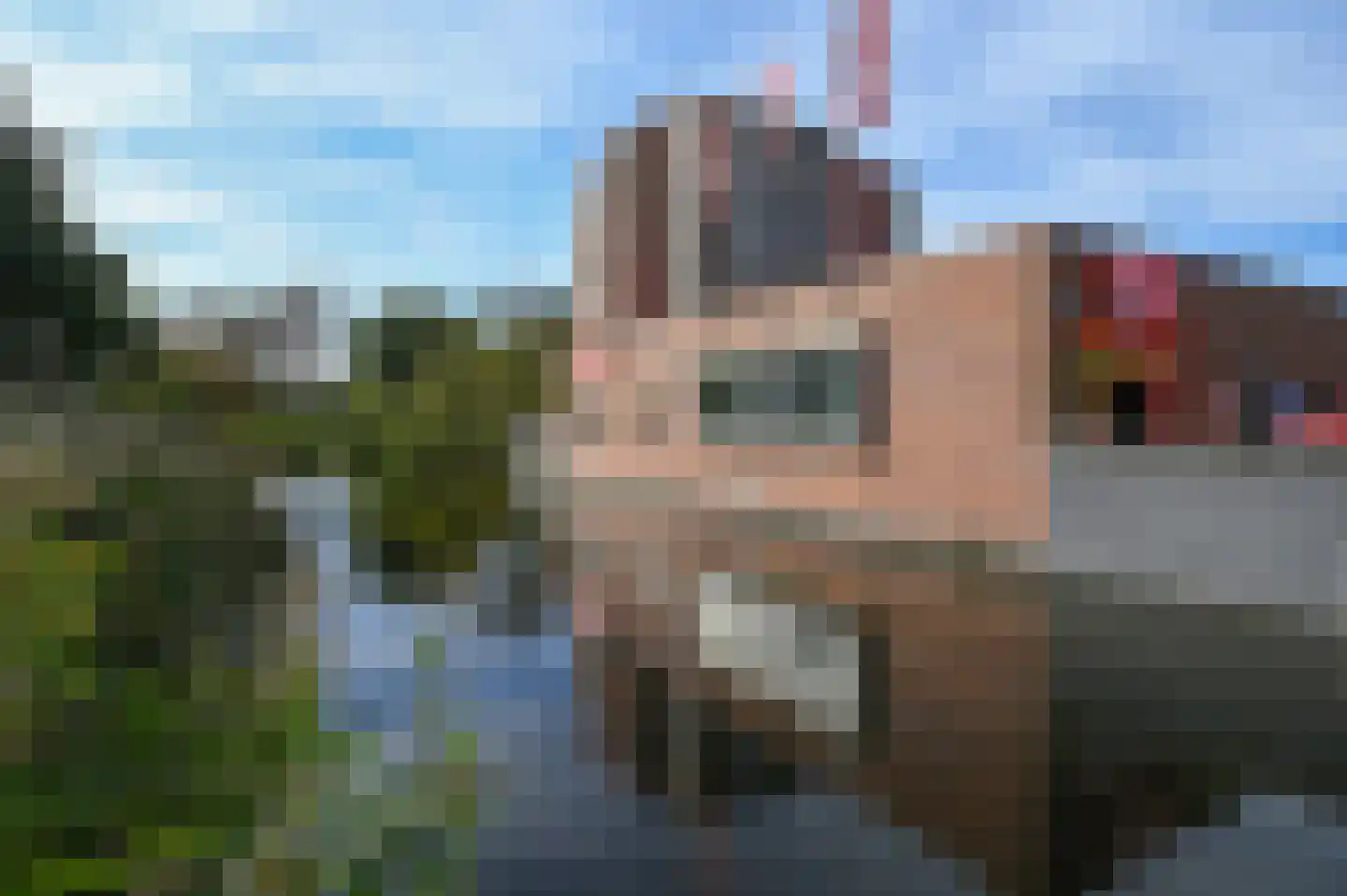 Zilverschoon 72 Uithoorn thumbnail 18