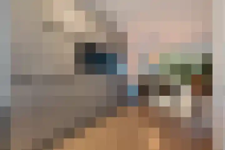 Zilverschoon 8 Waddinxveen thumbnail 10