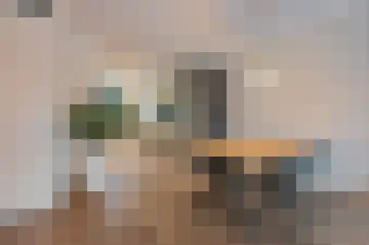 Zilverschoon 8 Waddinxveen thumbnail 16