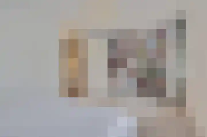 Zilverschoon 8 Waddinxveen thumbnail 18