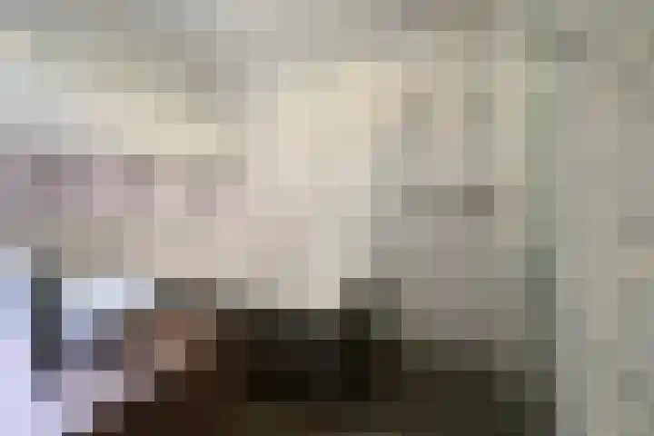 Zilverschoon 8 Waddinxveen thumbnail 19