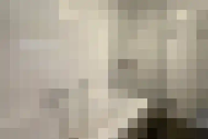 Zilverschoon 8 Waddinxveen thumbnail 21