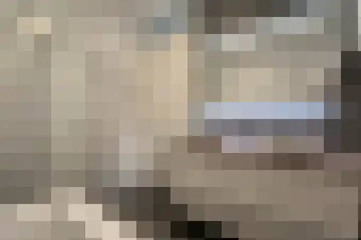 Zilverschoon 8 Waddinxveen thumbnail 22