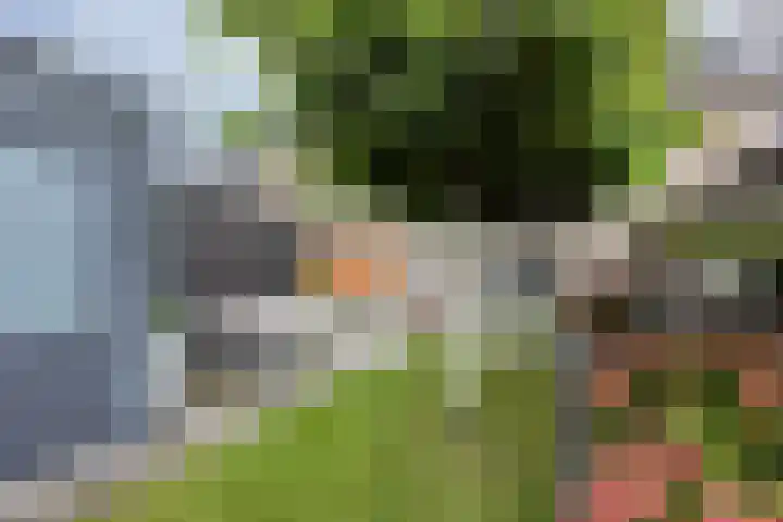 Zilverschoon 8 Waddinxveen thumbnail 28