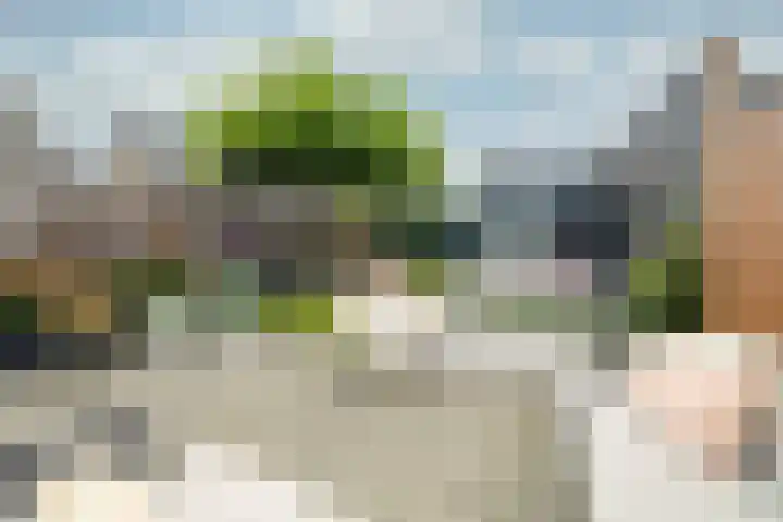 Zilverschoon 8 Waddinxveen thumbnail 32