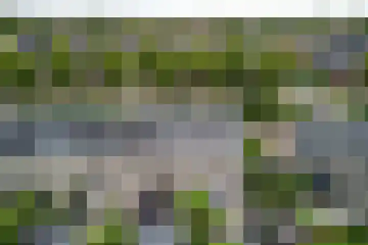 Zilverschoon 8 Waddinxveen thumbnail 33