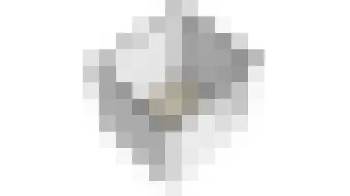 Zilverschoon 8 Waddinxveen thumbnail 48