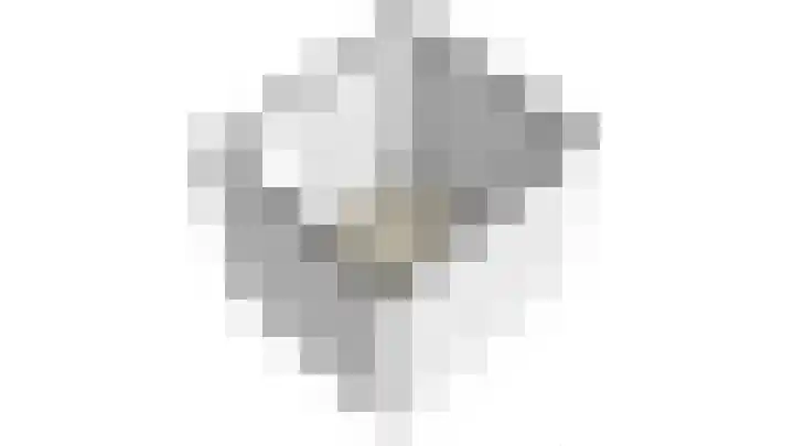 Zilverschoon 8 Waddinxveen thumbnail 49