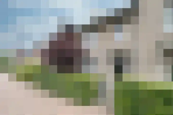 Zilverschoon 8 Waddinxveen thumbnail 5