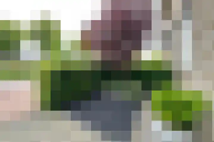 Zilverschoon 8 Waddinxveen thumbnail 7