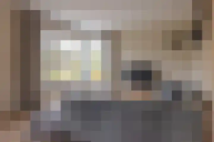 Zilverschoon 80 Drachten thumbnail 17
