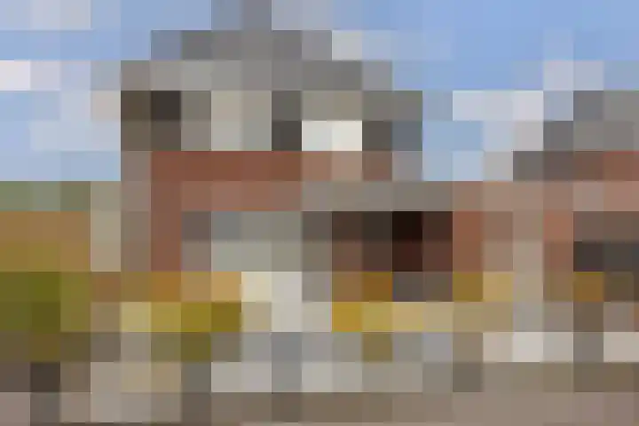 Zilverschoon 80 Drachten thumbnail 5