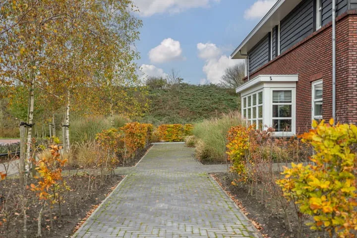 Zilverschoon 80 Drachten thumbnail 60