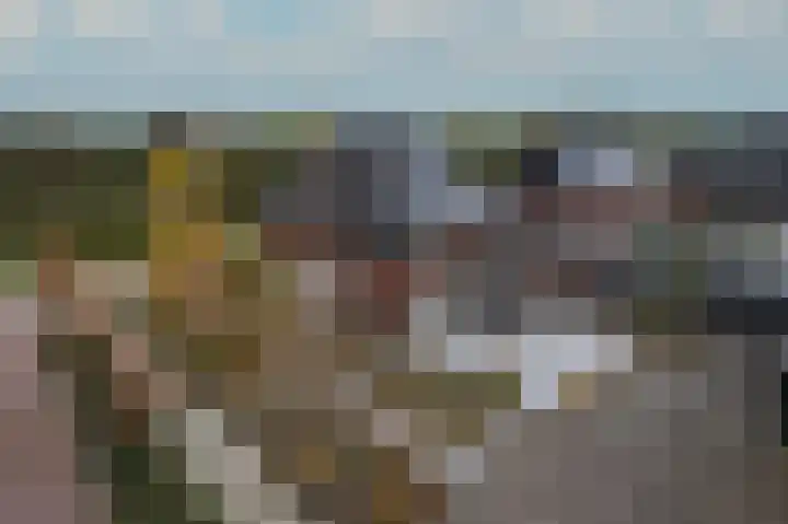 Zilverschoon 80 Drachten thumbnail 8