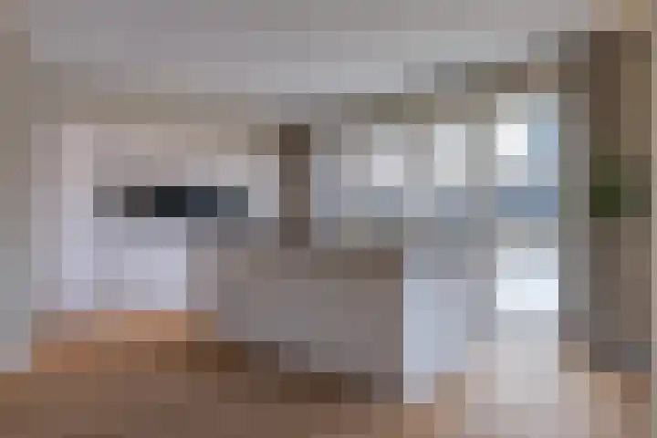 Zilverschoon 80 Drachten thumbnail 9
