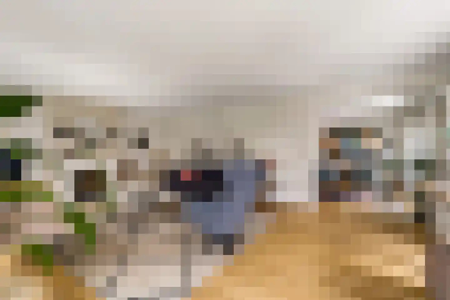 Zilverschoon 9 Haaksbergen thumbnail 18