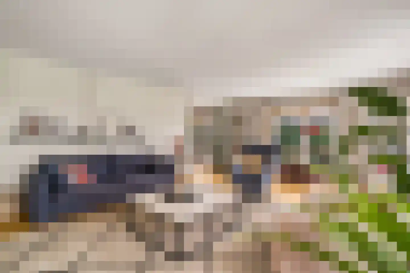 Zilverschoon 9 Haaksbergen thumbnail 19