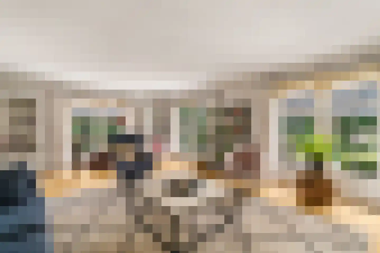 Zilverschoon 9 Haaksbergen thumbnail 20