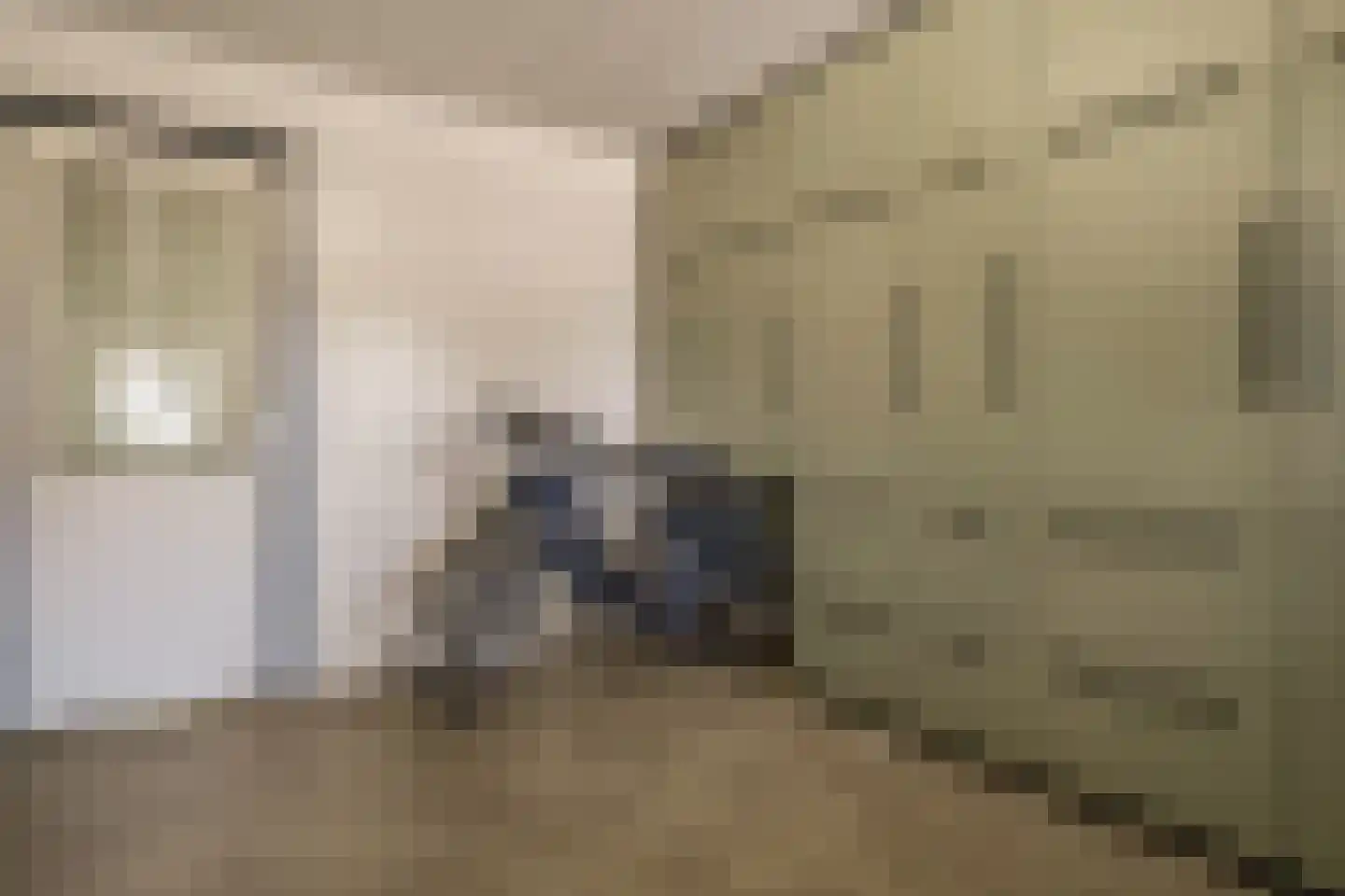 Zilverschoon 9 Haaksbergen thumbnail 24