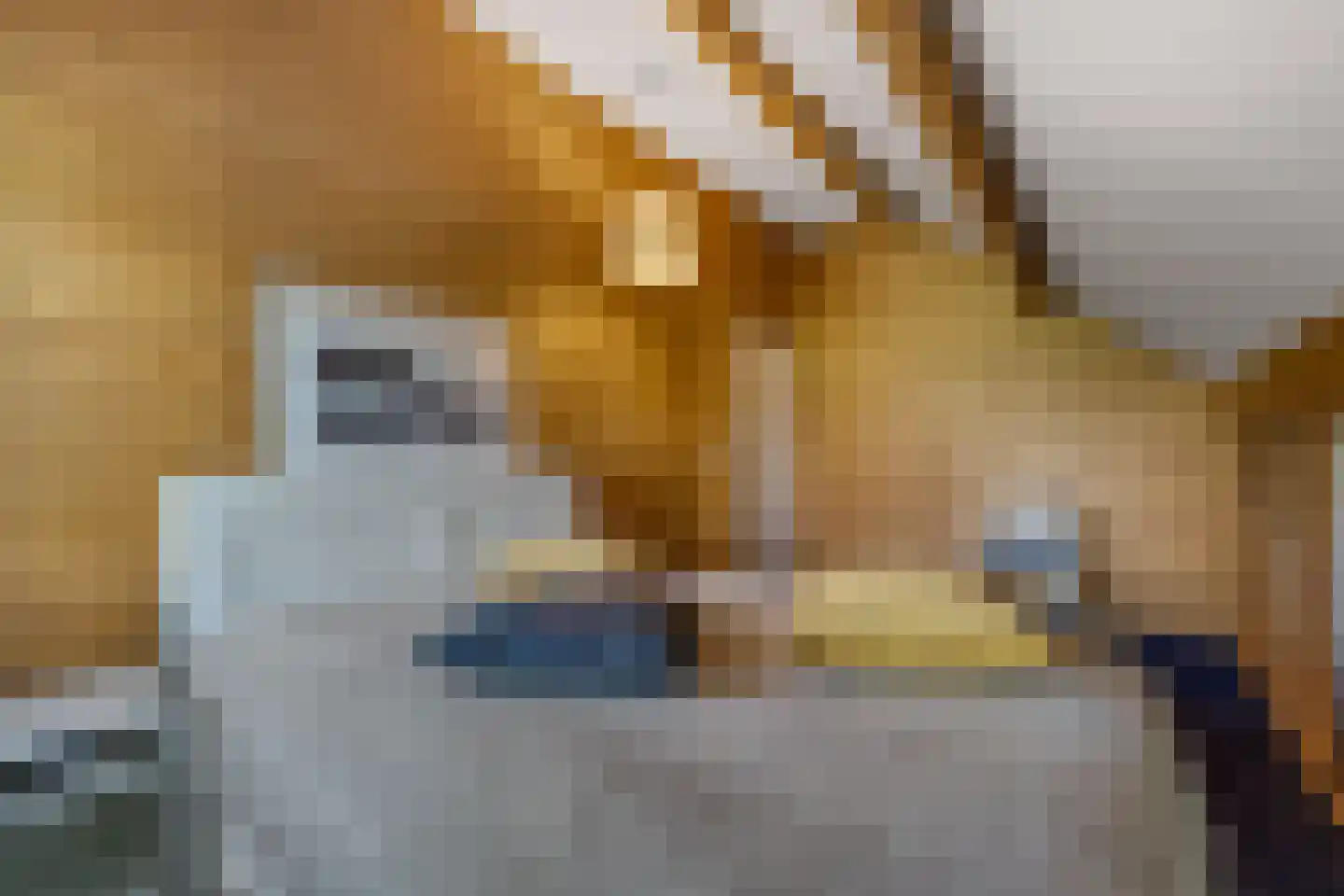Zilverschoon 9 Haaksbergen thumbnail 33