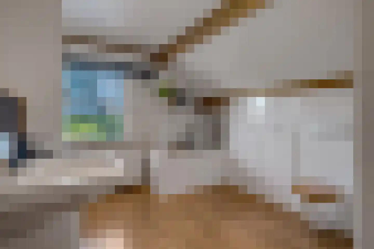 Zilverschoon 9 Haaksbergen thumbnail 34