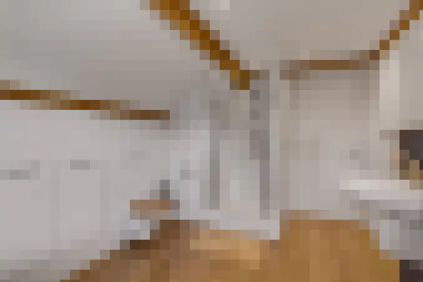 Zilverschoon 9 Haaksbergen thumbnail 36