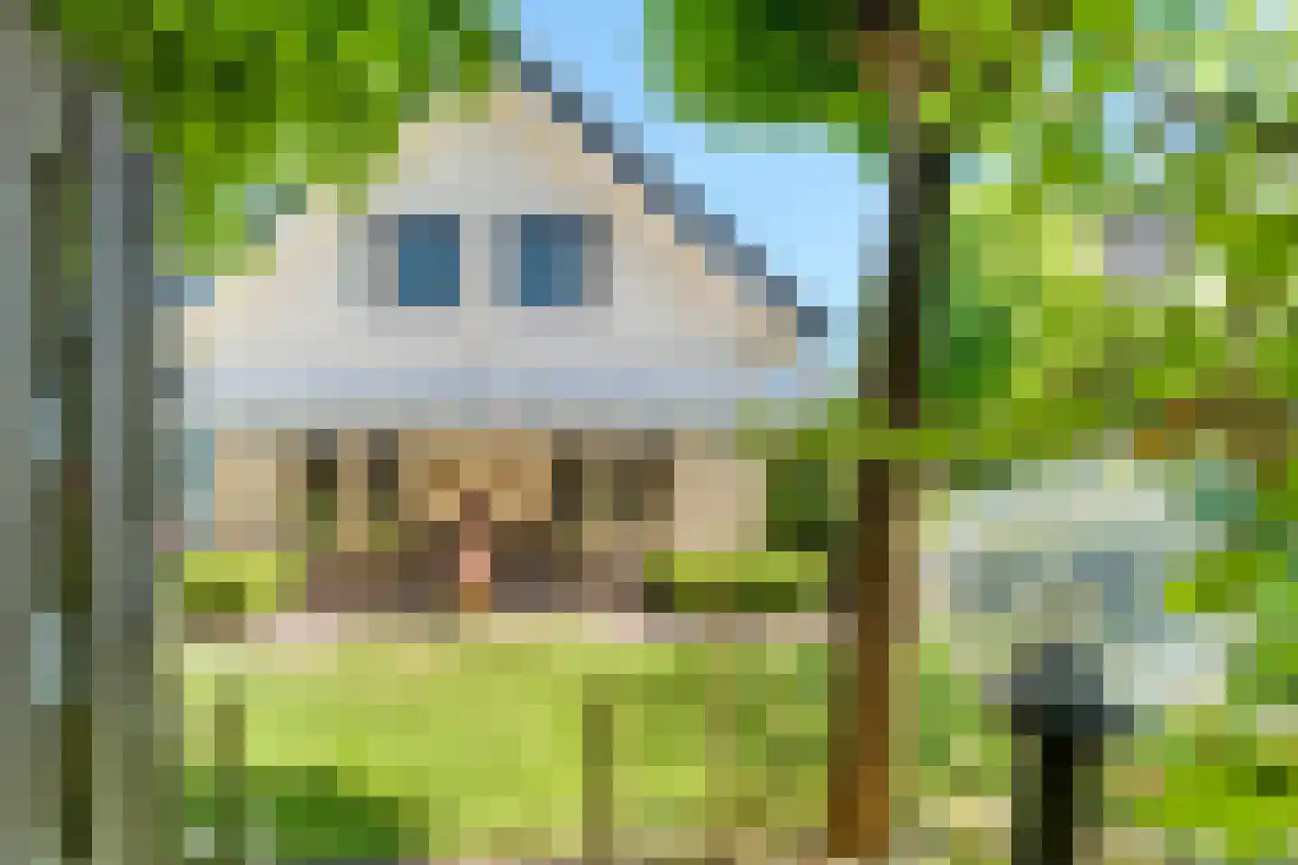 Zilverschoon 9 Haaksbergen thumbnail 45