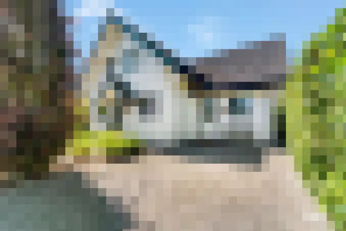 Zilverschoon 9 Haaksbergen thumbnail 47