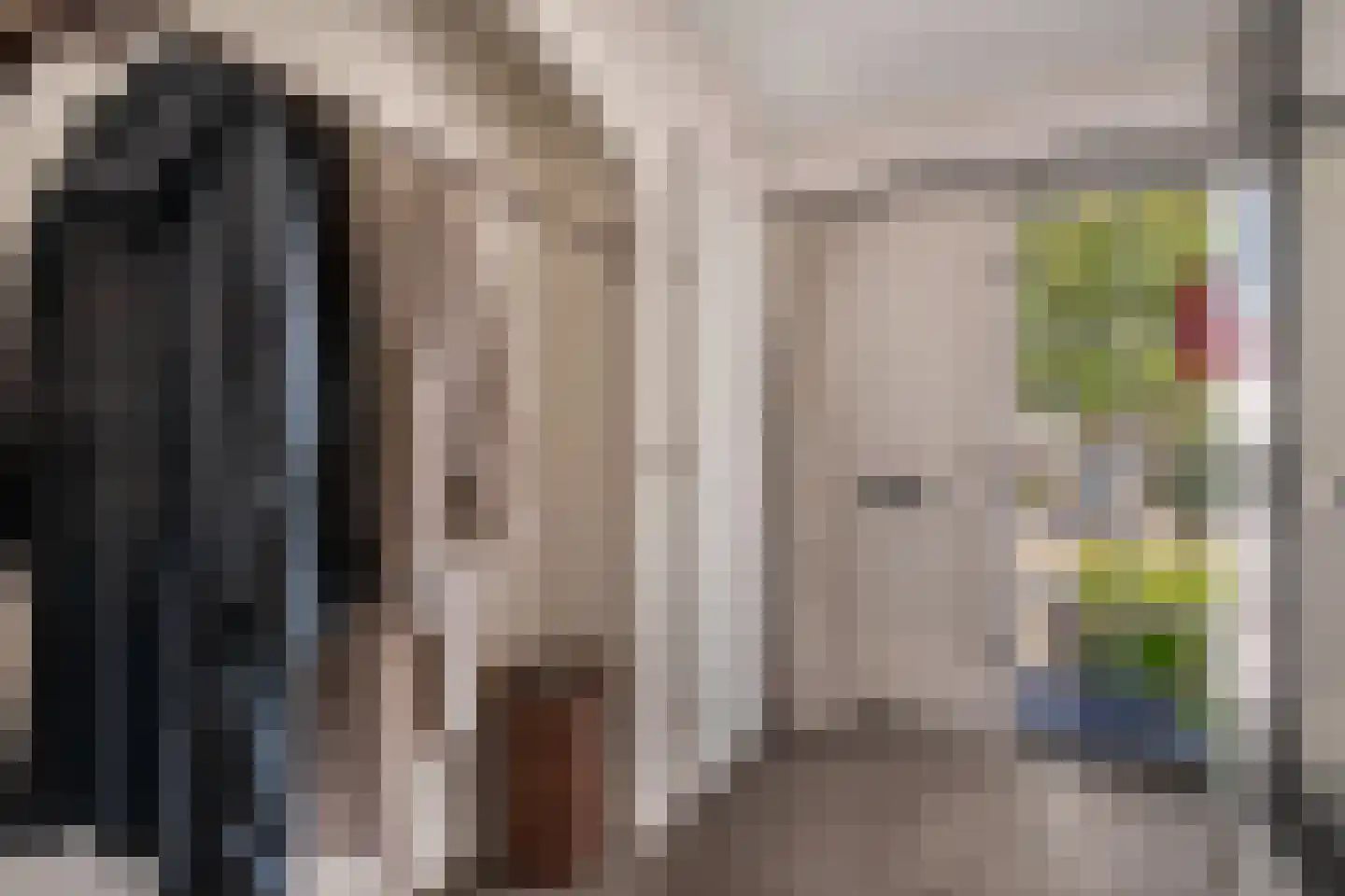 Zilverschoon 9 Haaksbergen thumbnail 5