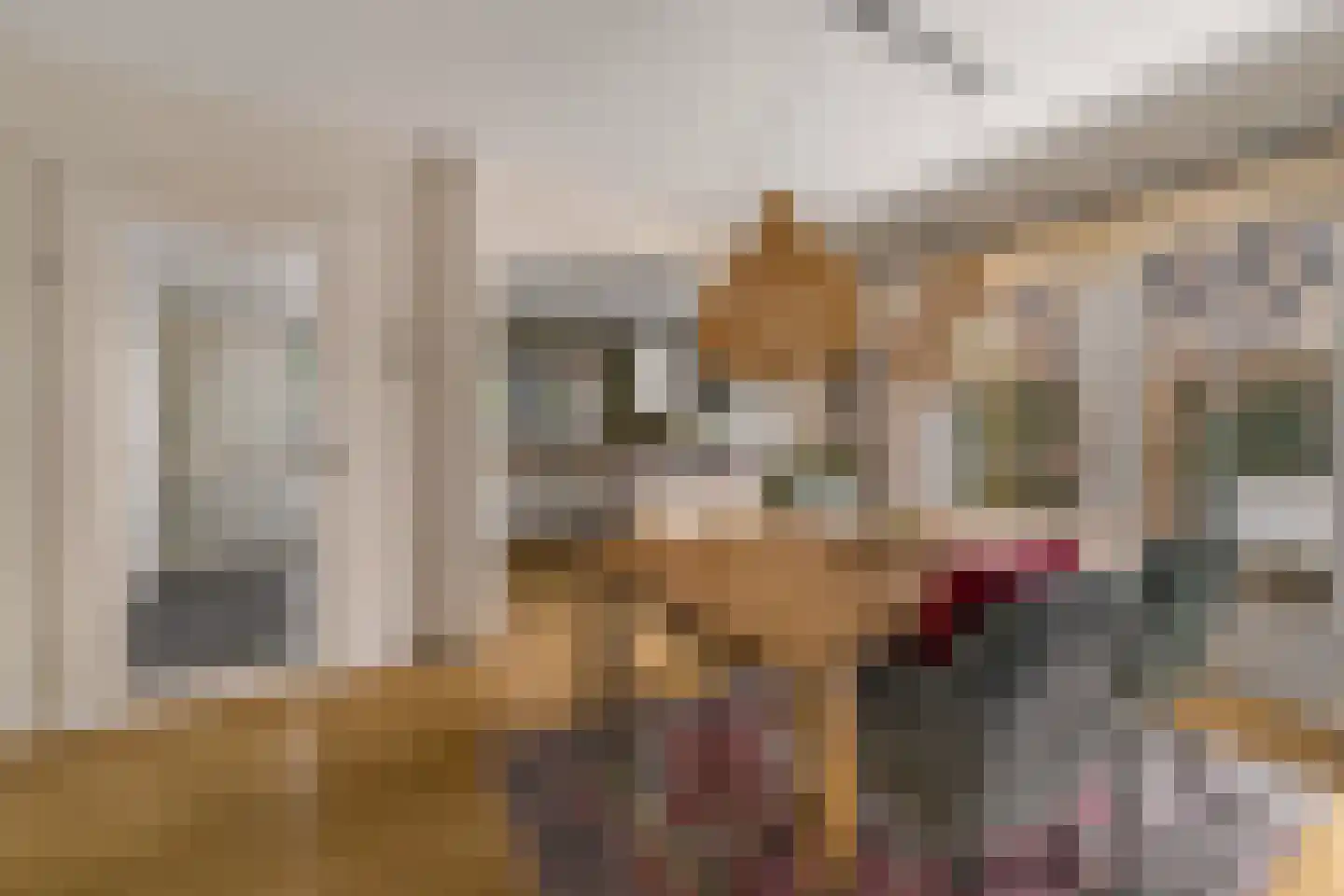 Zilverschoon 9 Haaksbergen thumbnail 8