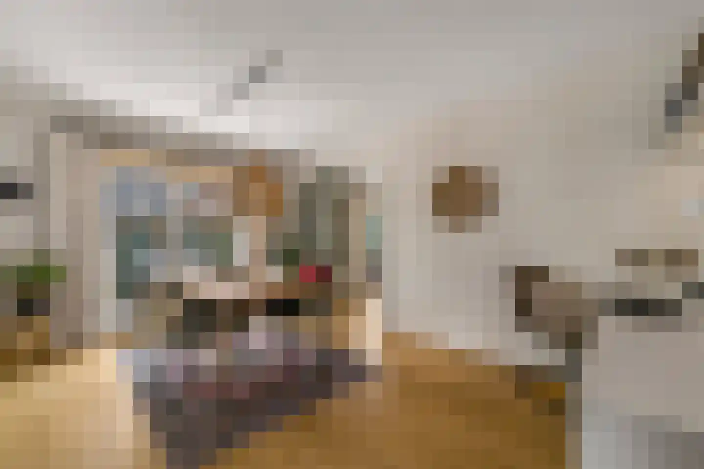 Zilverschoon 9 Haaksbergen thumbnail 9