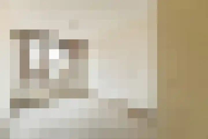 Zilverschoon 9 Landsmeer thumbnail 10