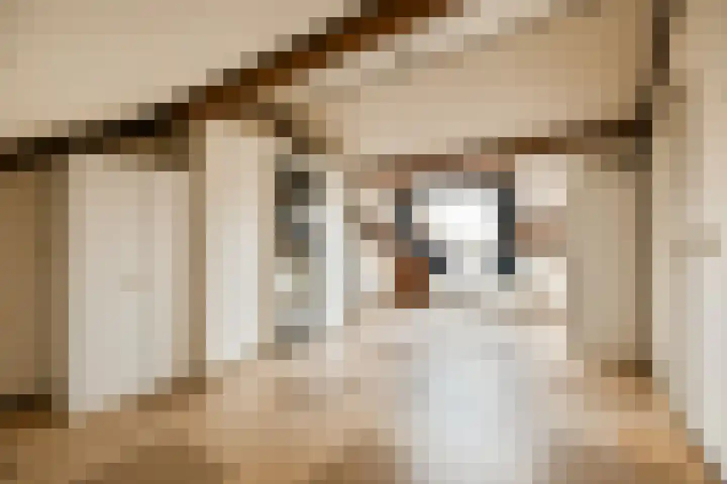 Zilverschoon 9 Landsmeer thumbnail 16