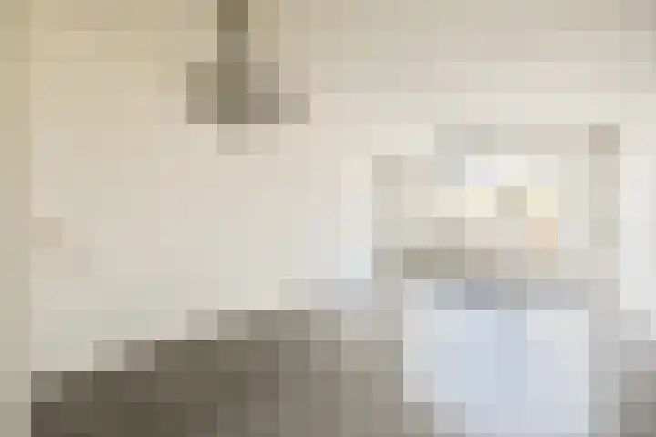 Zilverschoon 9 Landsmeer thumbnail 4