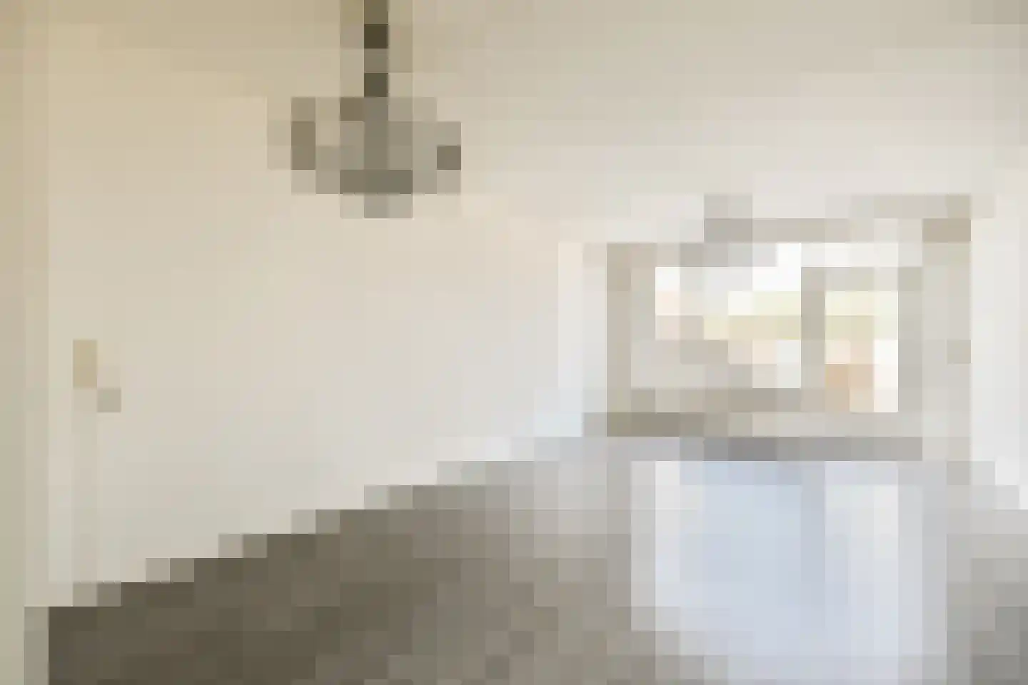 Zilverschoon 9 Landsmeer thumbnail 4