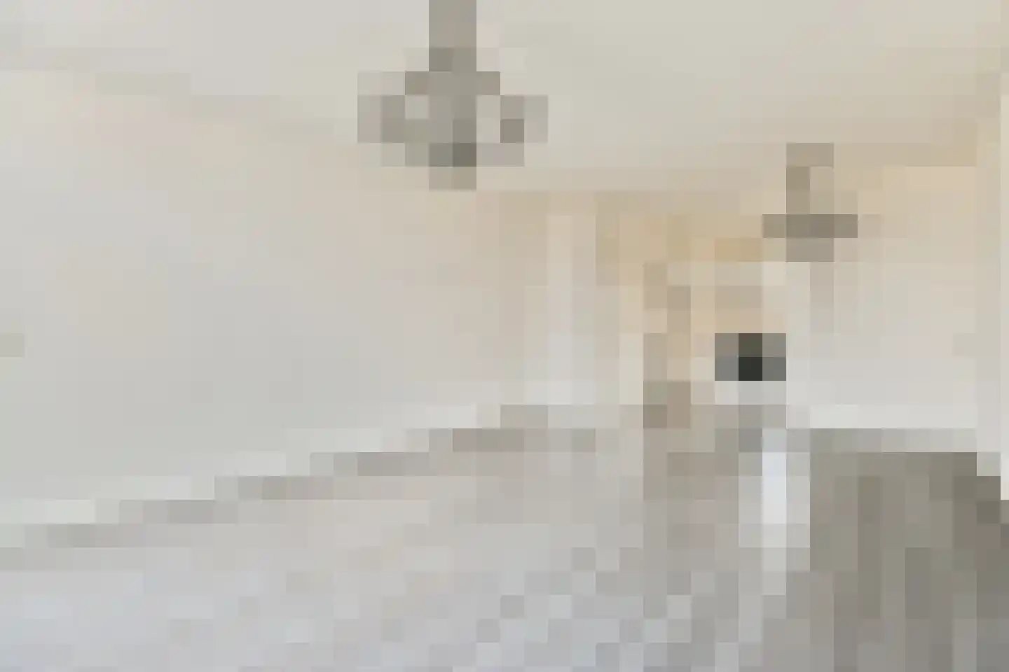Zilverschoon 9 Landsmeer thumbnail 5