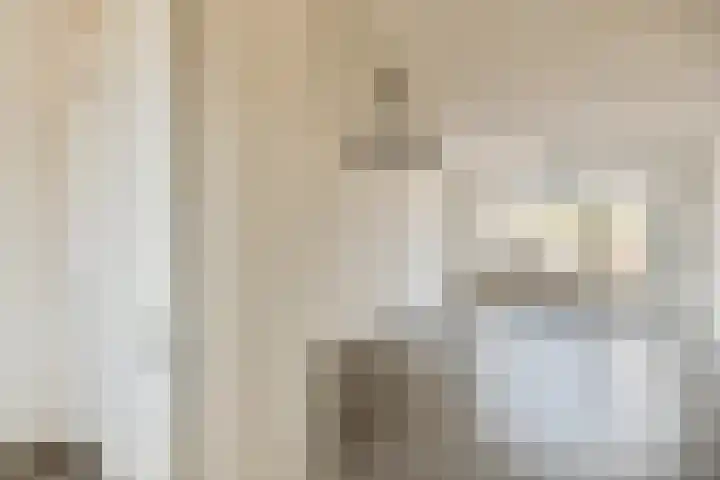 Zilverschoon 9 Landsmeer thumbnail 7