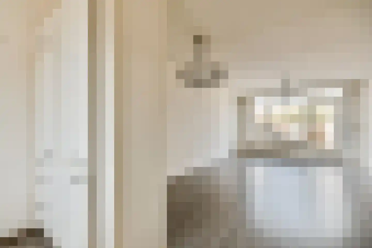 Zilverschoon 9 Landsmeer thumbnail 7