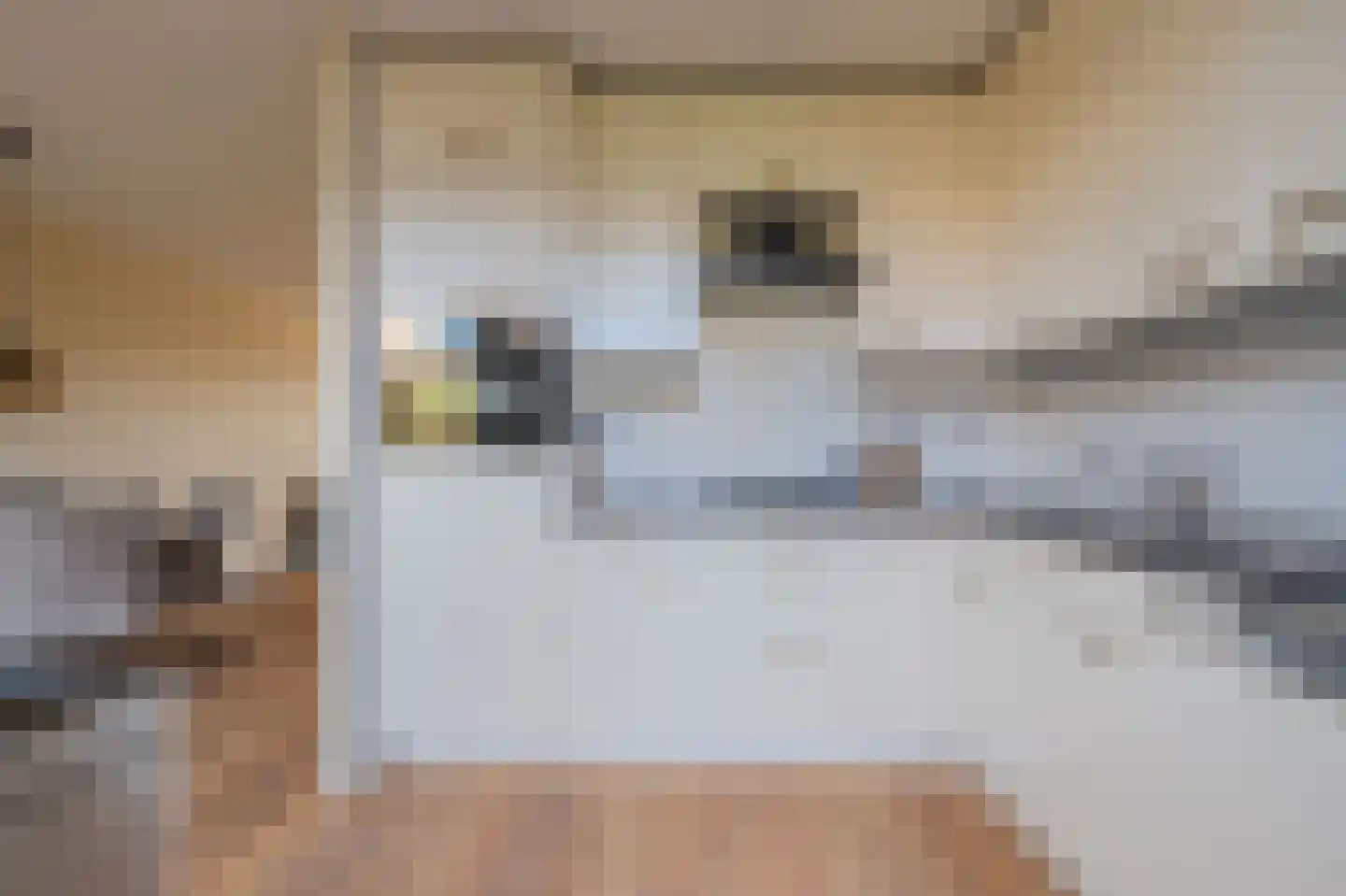 Zilverschoon 9 Venray thumbnail 17