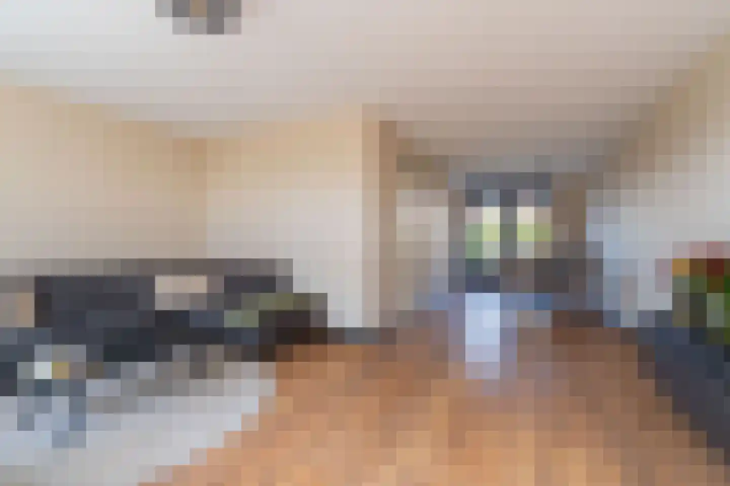Zilverschoon 9 Venray thumbnail 9